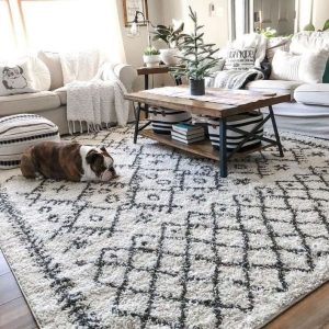 Is Boutique Rugs Worth It