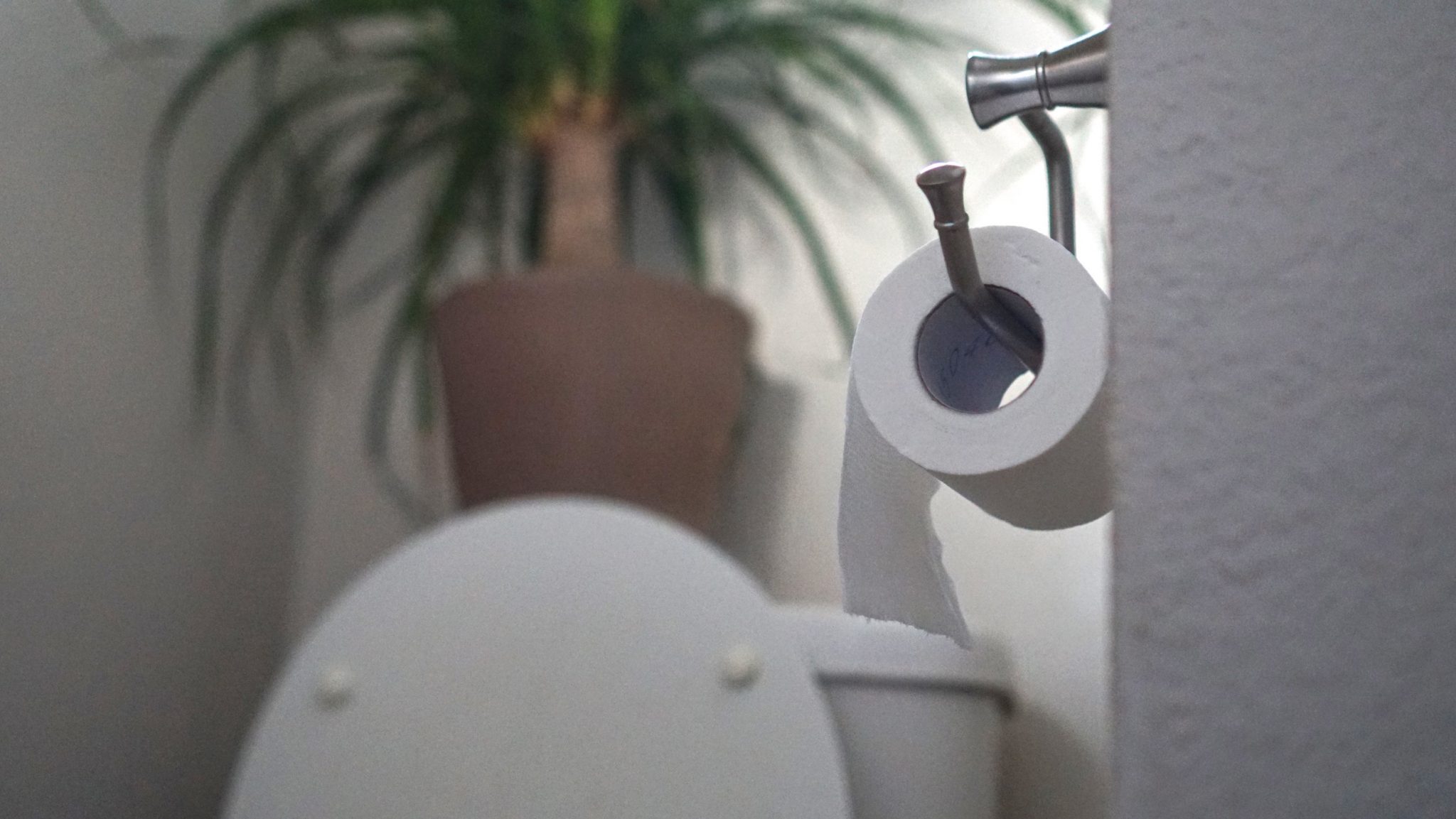 who-gives-a-crap-review-toilet-paper-that-builds-toilets-techno-analyzer