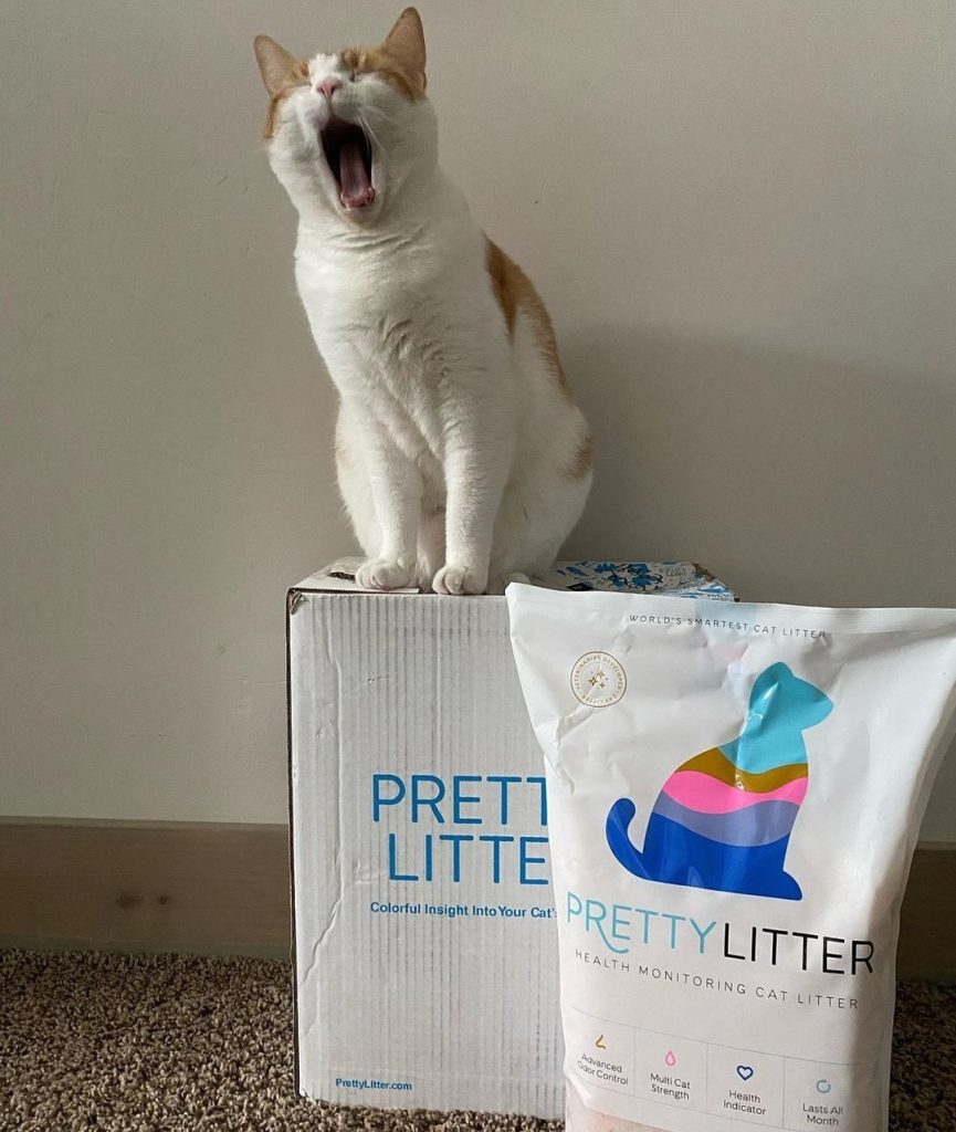 Pretty Litter Review A Deep Dive into Its Health Monitoring Features